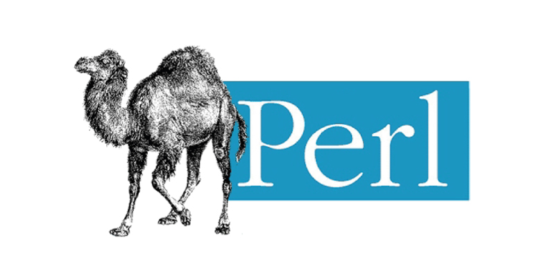 Język Perl - Struktura i zastosowanie